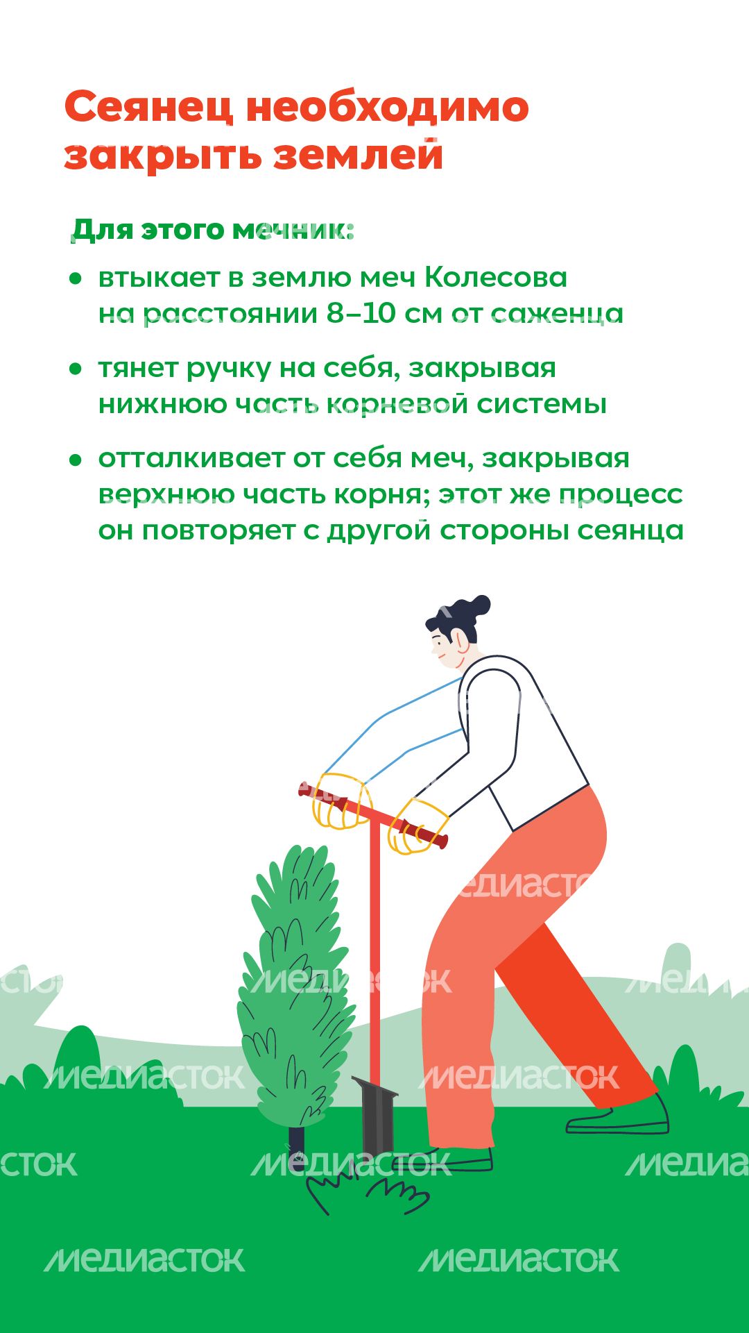 Вертикаль_ меч Колесова_05-100.jpg