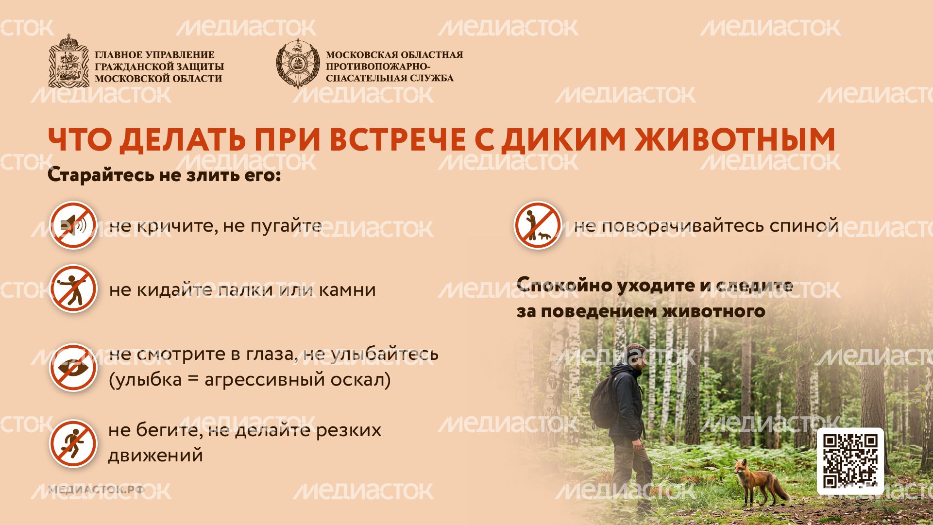 Что делать при встрече с диким животным горизонталь 04 Что делать при встрече с диким животным горизонталь 04