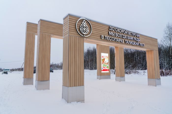 Лесопарк «Талицкий лес» зимой в Клину