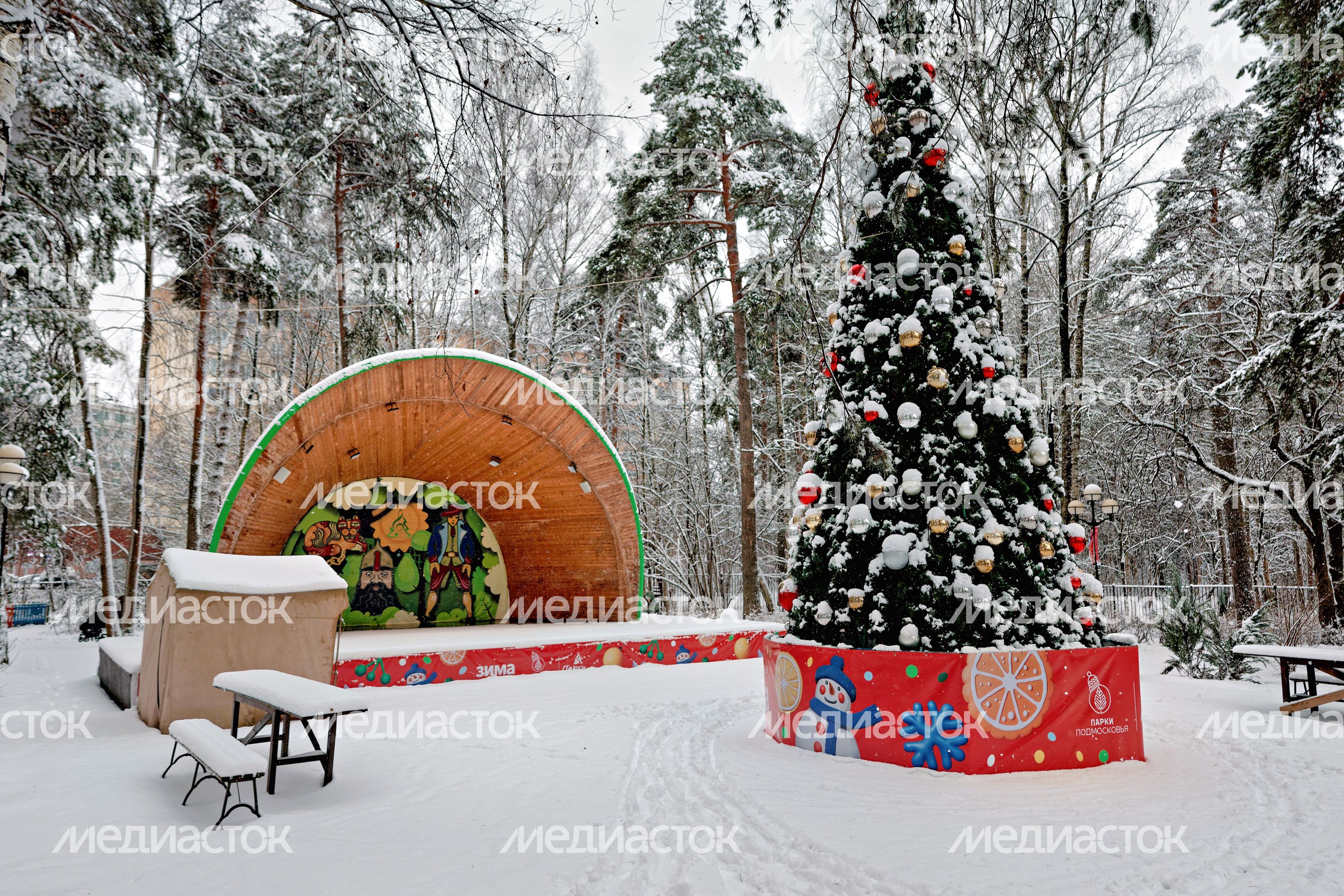Новогодняя елка в снегу в экопарке «Губайловский» в Красногорске зимой Новогодняя елка в снегу в экопарке «Губайловский» в Красногорске зимой