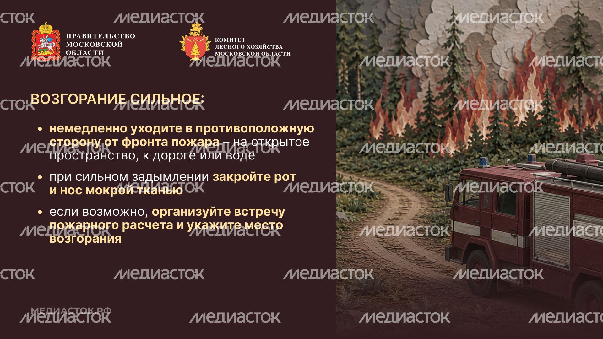 Живете рядом с лесом горизонталь 10