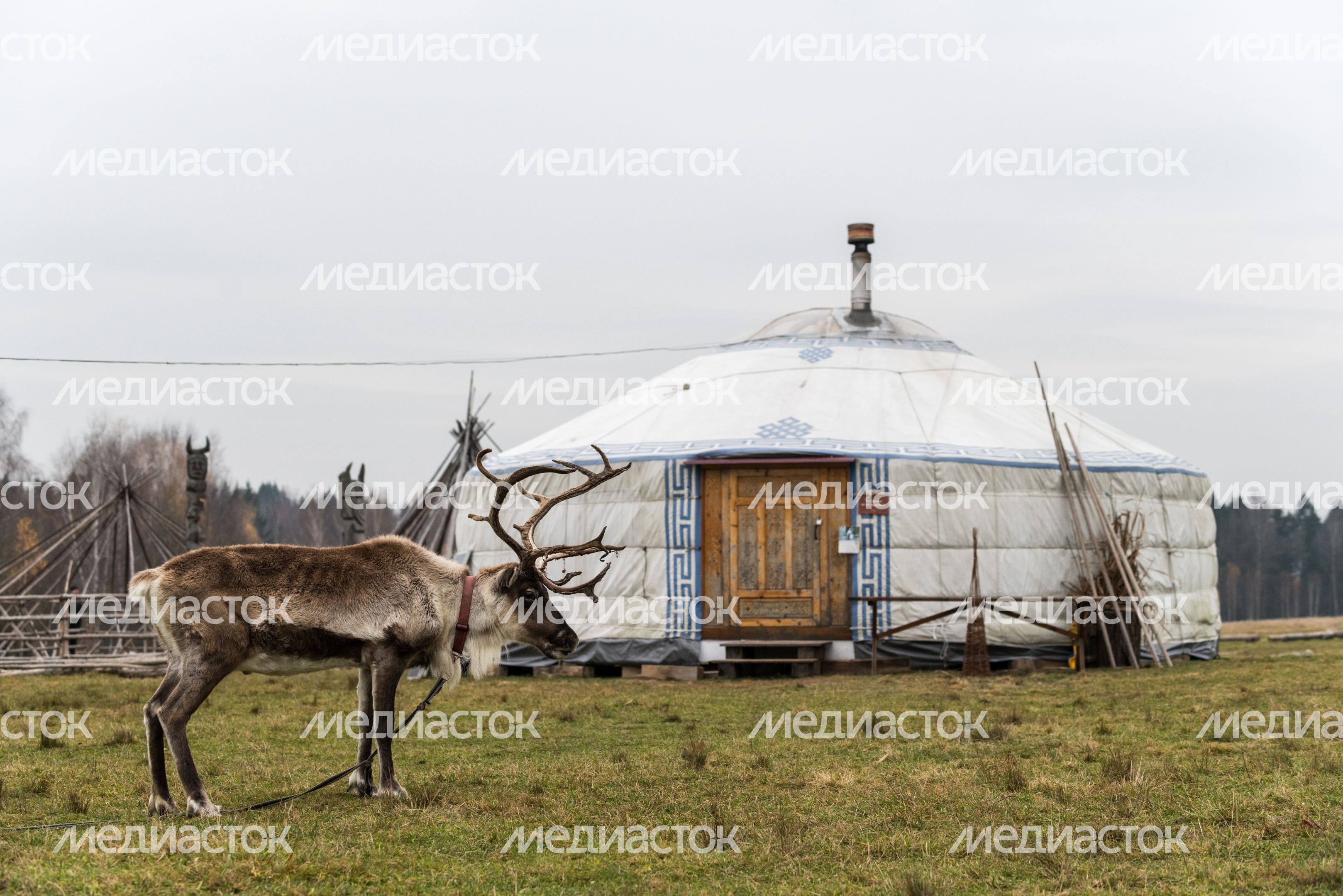Этнопарк «Кочевник»