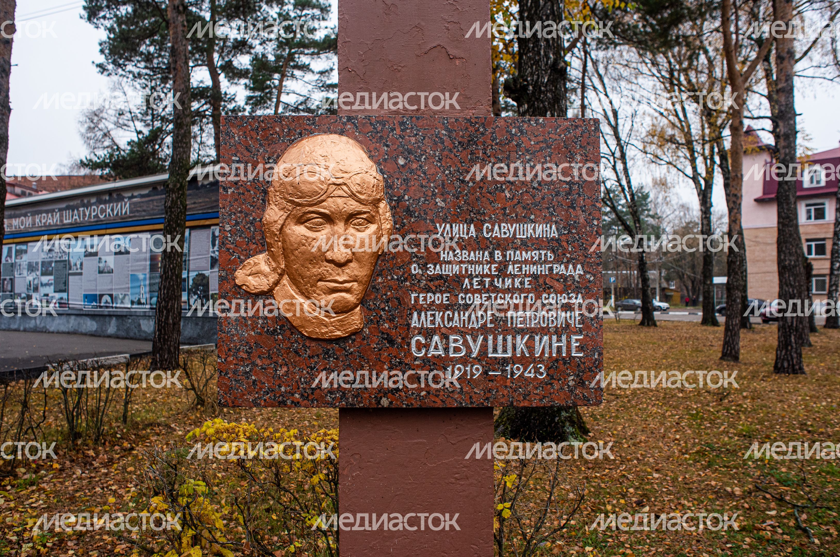 Осенние виды города Шатура