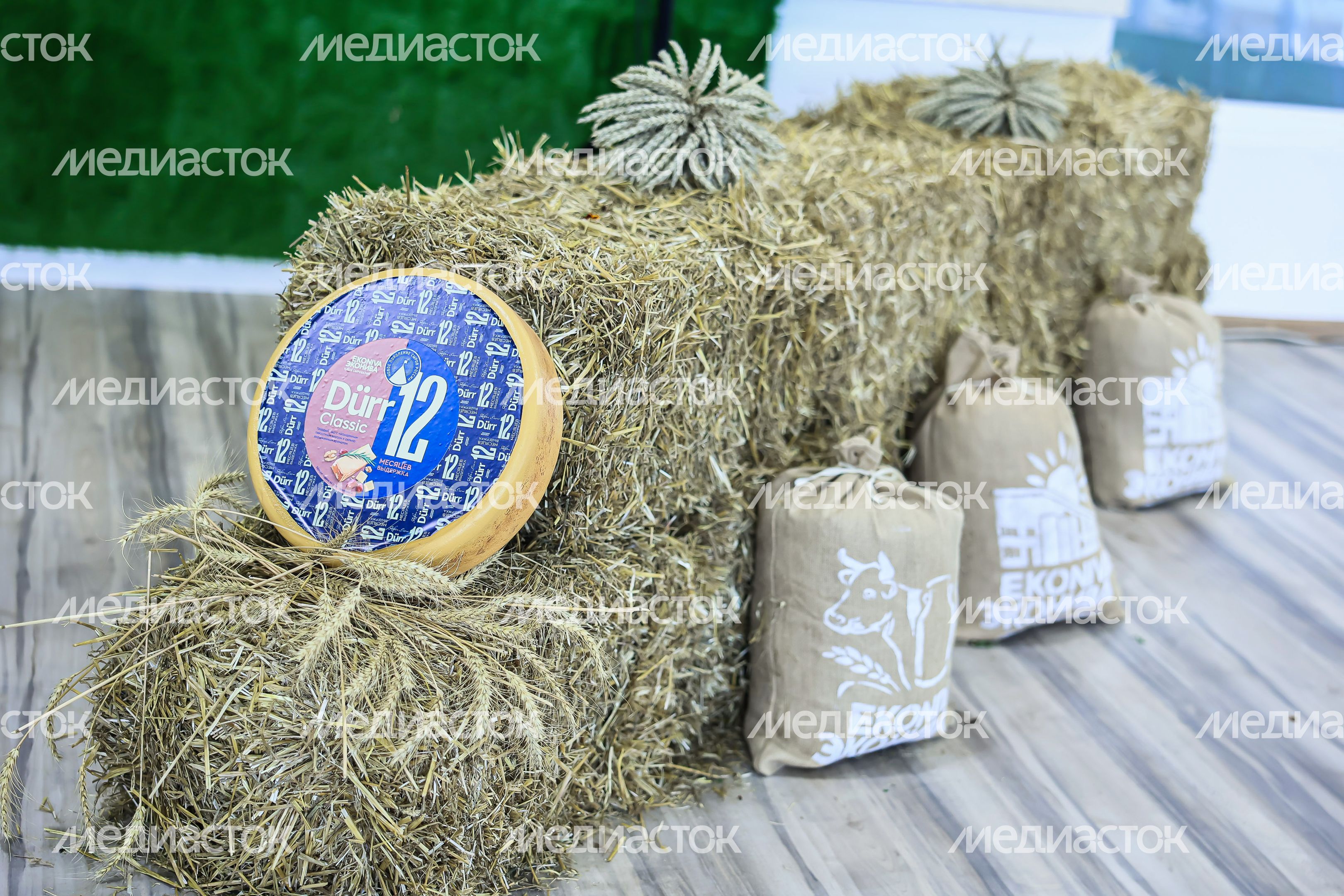 Открытие животноводческего комплекса «Бортниково» в Ступино Губернатором Подмосковья