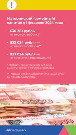 материнский-капитал-вертикаль-09