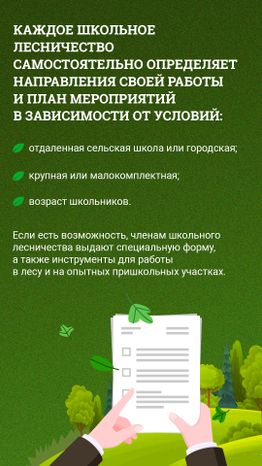 Школьные лесничества