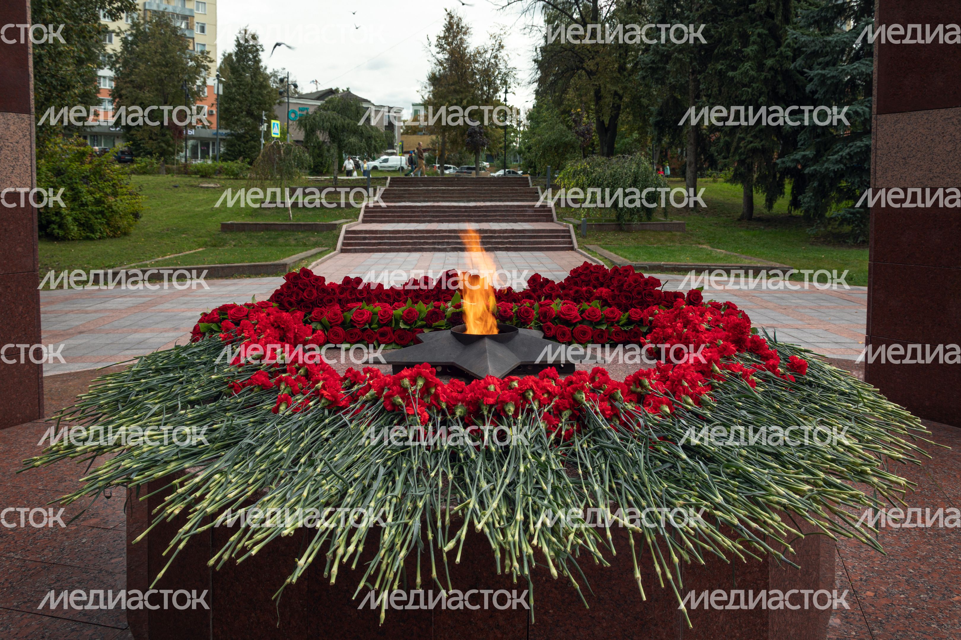 Вечный огонь на аллее Славы города Видное Ленинского округа Вечный огонь на аллее Славы города Видное Ленинского округа