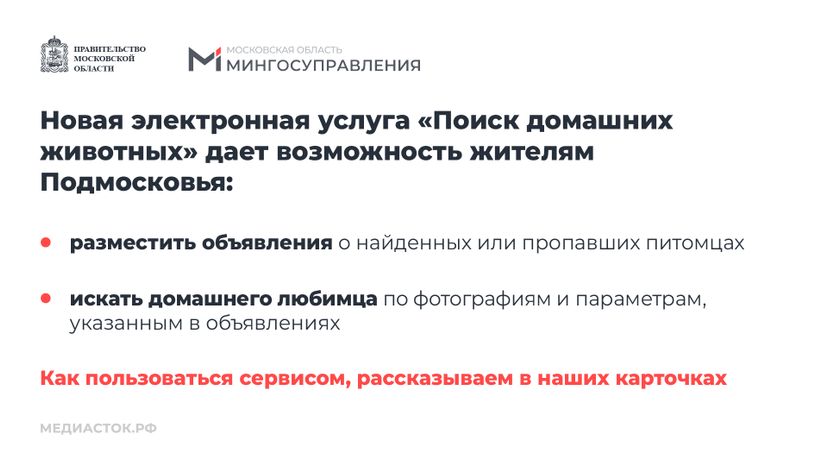 Домашние животные горизонталь 02