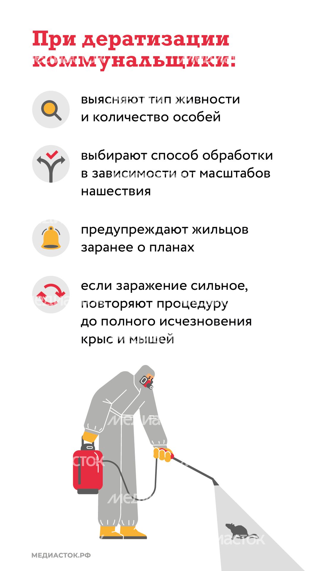 Крысы в МКД вертикаль (5) Крысы в МКД вертикаль (5)