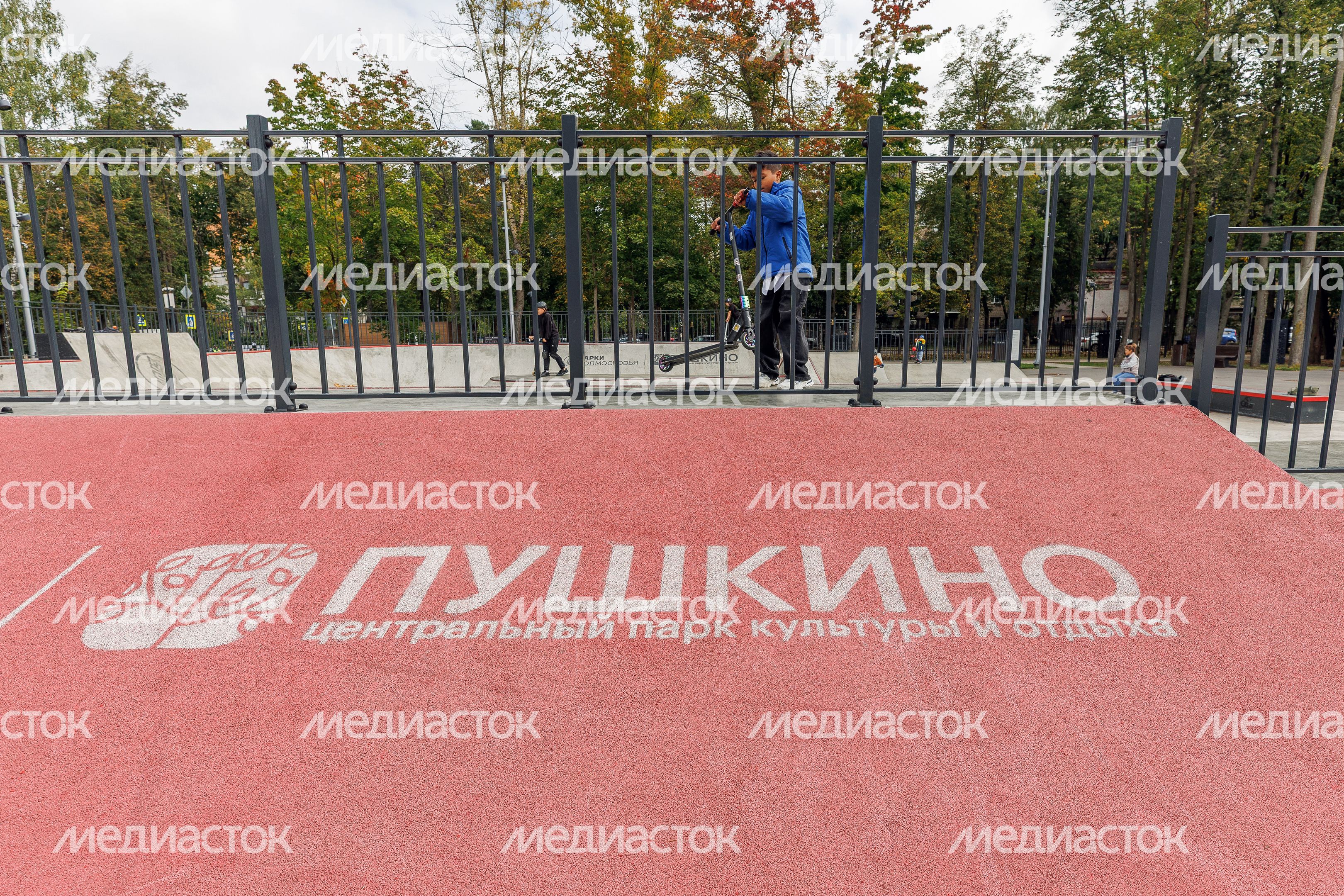 Центральный парк культуры и отдыха Пушкино Центральный парк культуры и отдыха Пушкино
