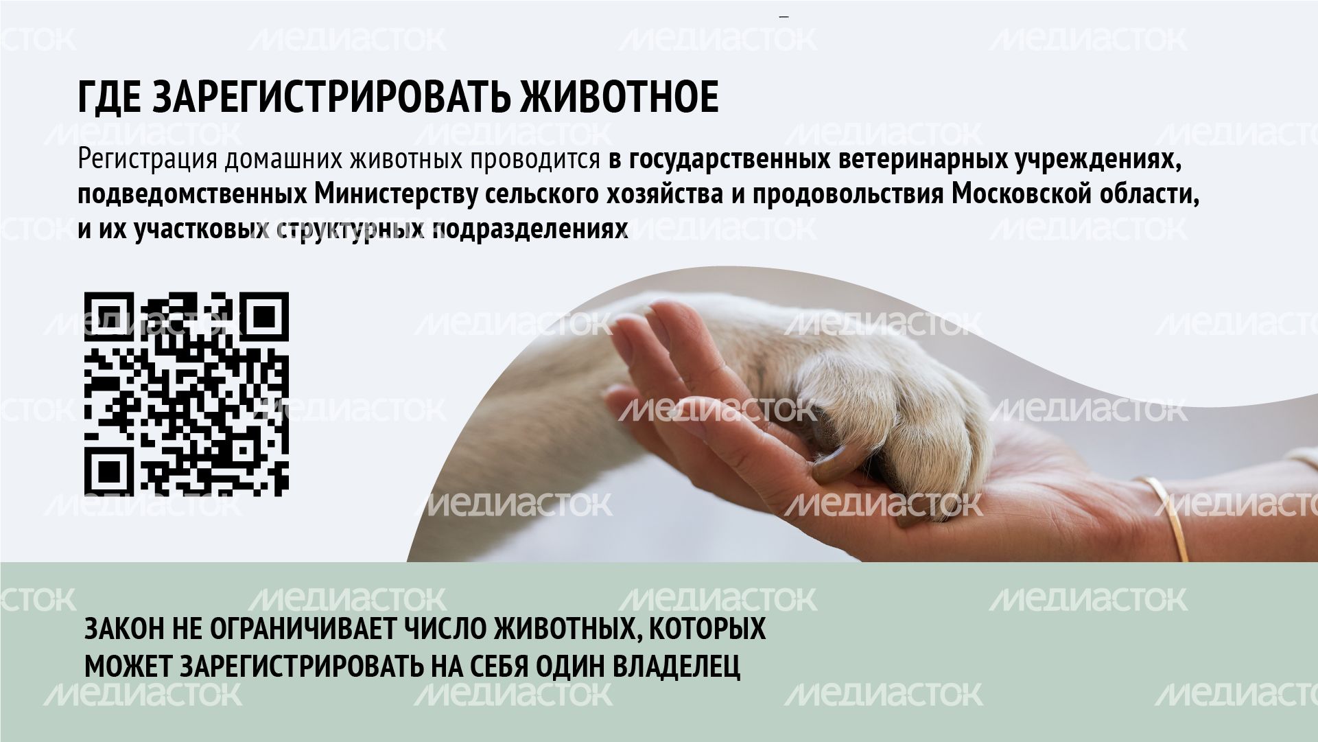 Горизонталь_ зарегистрировать домашнее животное_04-100.jpg