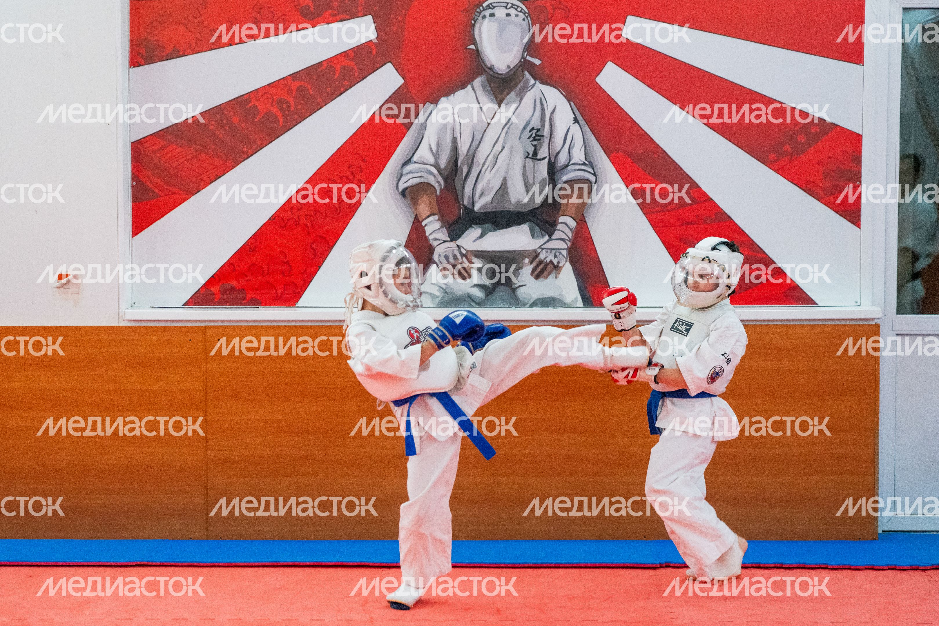 Открытая тренировка Федерации кудо Московской области в Красногорске Открытая тренировка Федерации кудо Московской области в Красногорске
