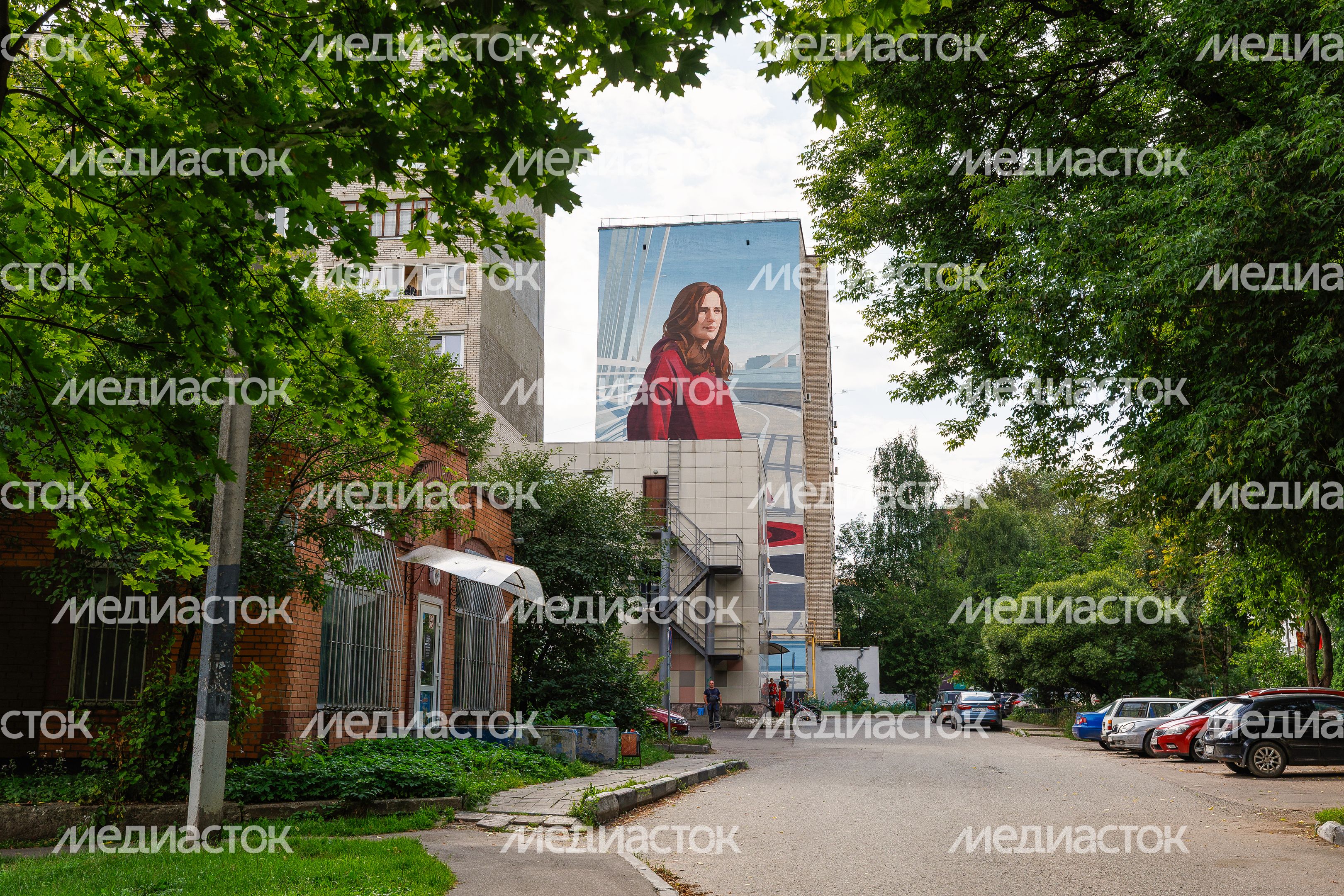 Муралы в Железнодорожном, Балашиха