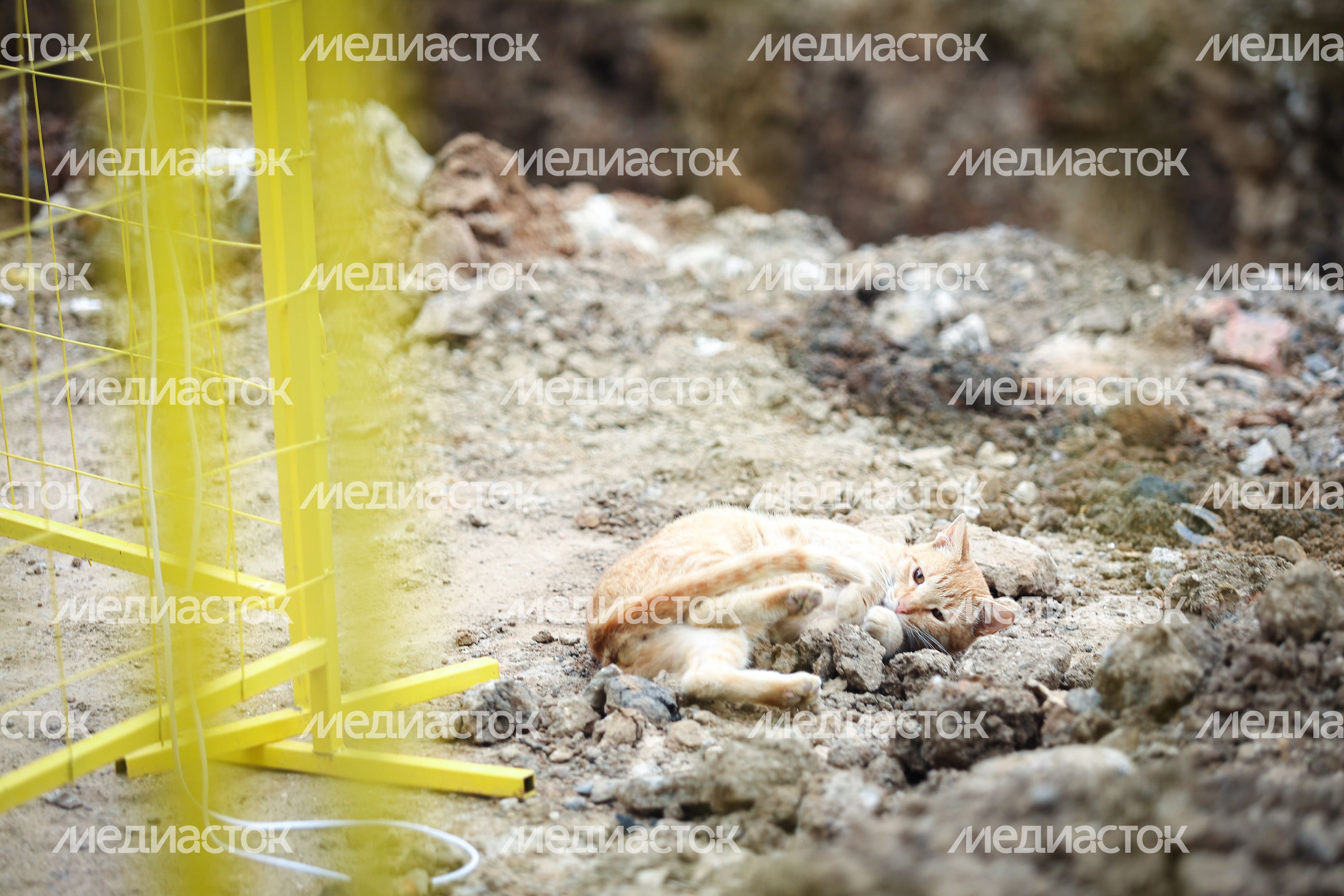 Проверка хода работ по модернизации теплоснабжения в Солнечногорске Губернатором Подмосковья