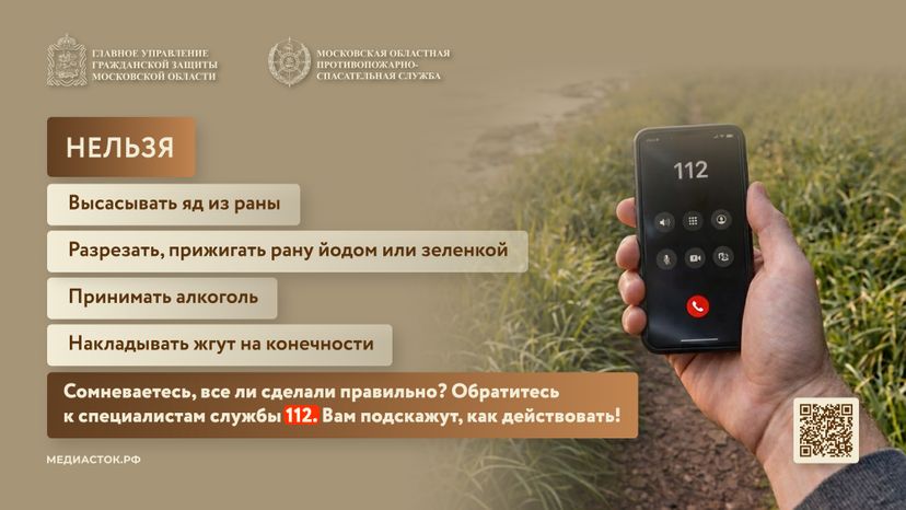 Гадюки горизонталь 08