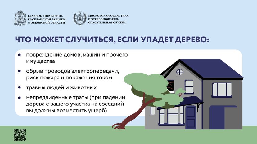 Аварийные деревья_Горизонталь-02.jpg