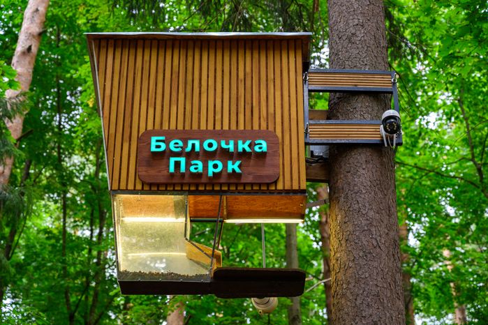 Центральный парк культуры и отдыха Жуковского летом