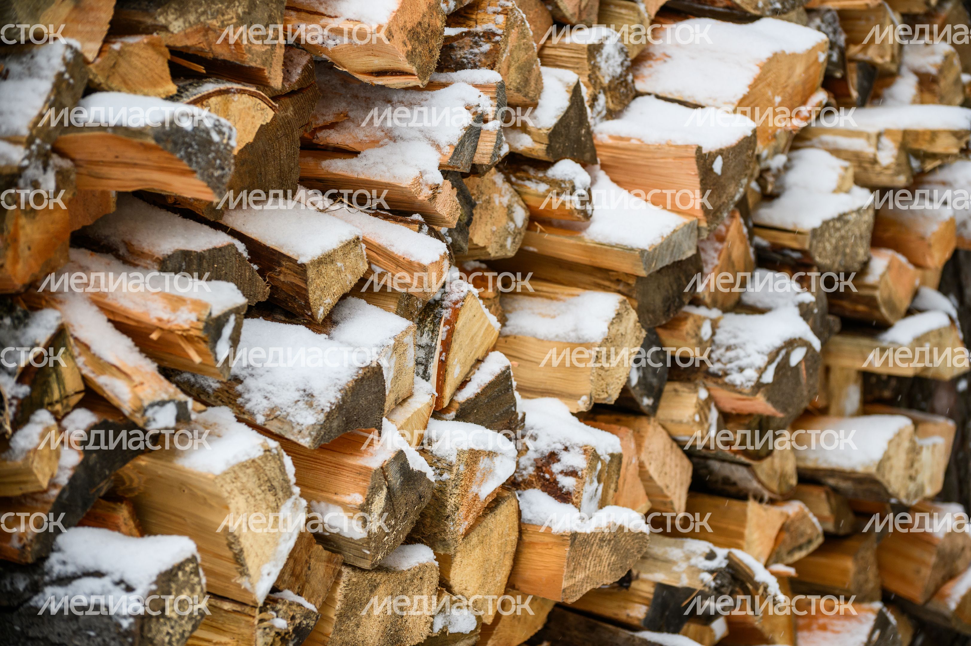 Дрова в Жуковском парке культуры и отдыха Дрова в Жуковском парке культуры и отдыха