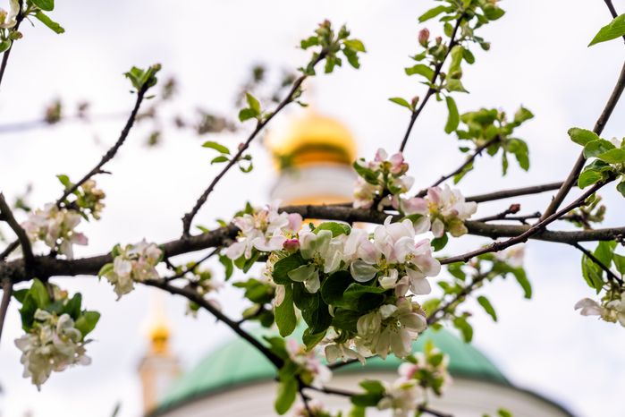 Церковь Усекновения главы Иоанна Предтечи в Чехове