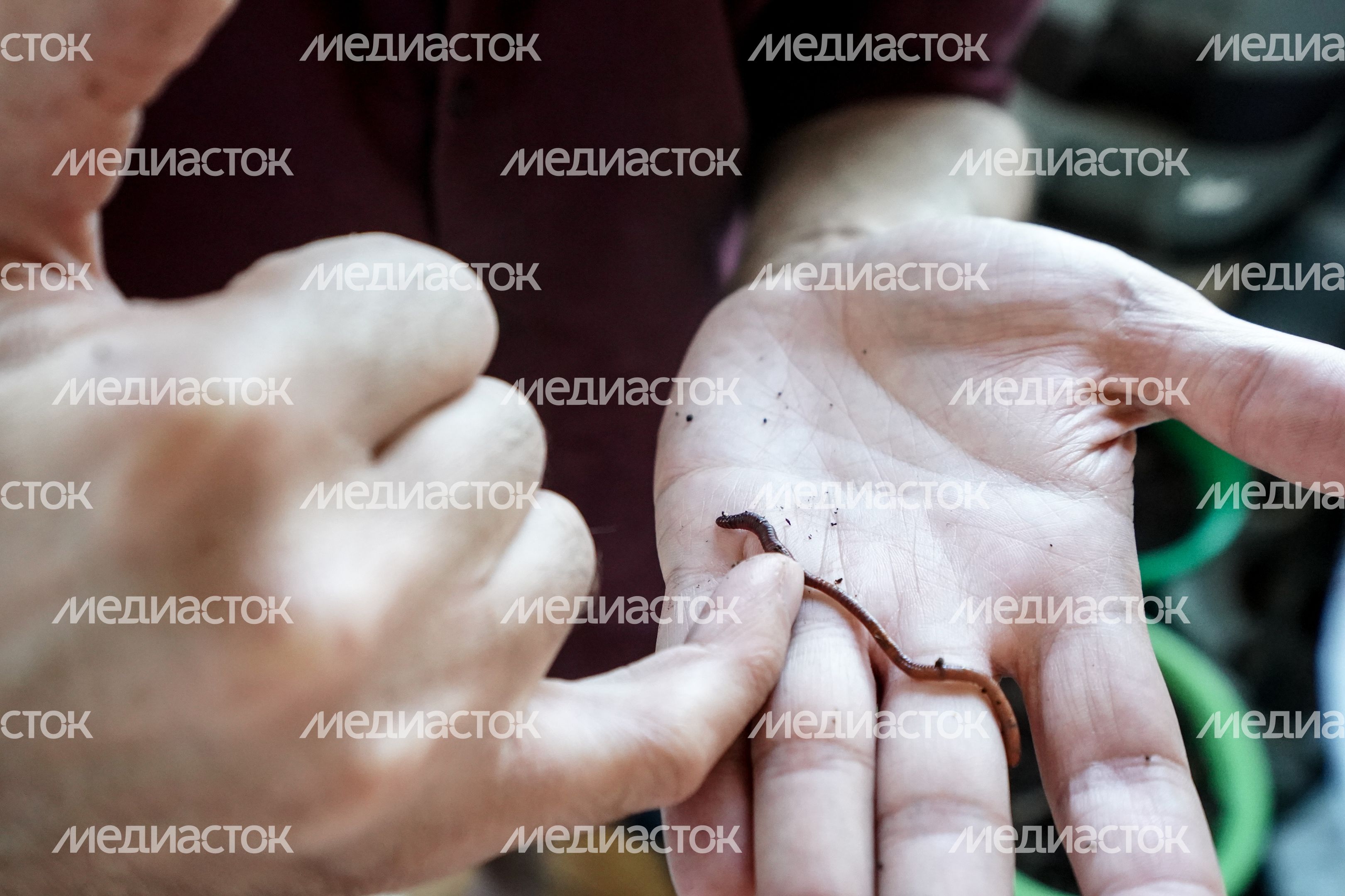 Коммуна на севере Москвы