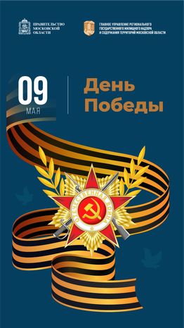 9 мая вертикаль