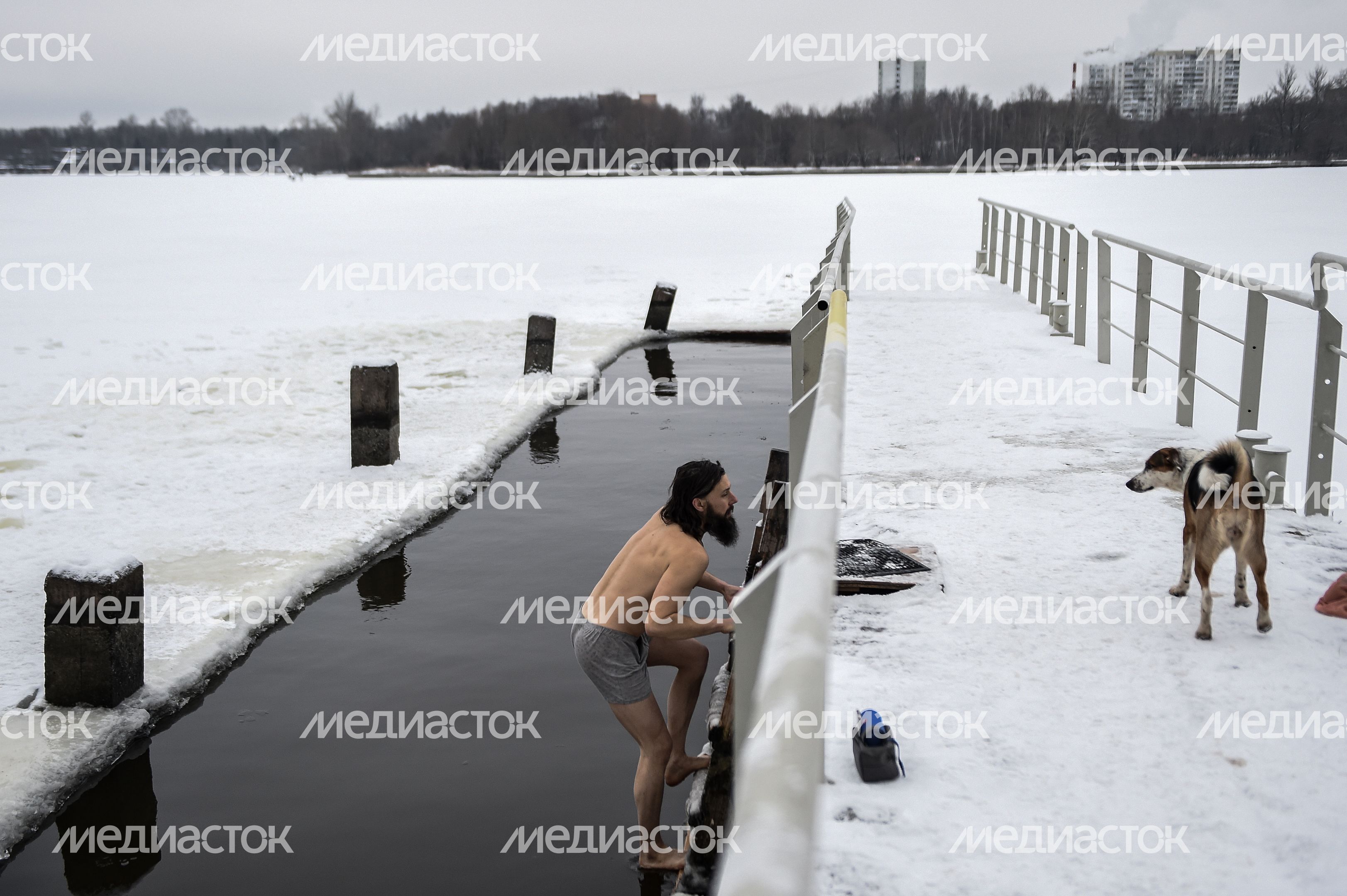 Купание моржей в Долгопрудном