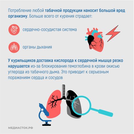 ЗОЖ квадрат 05