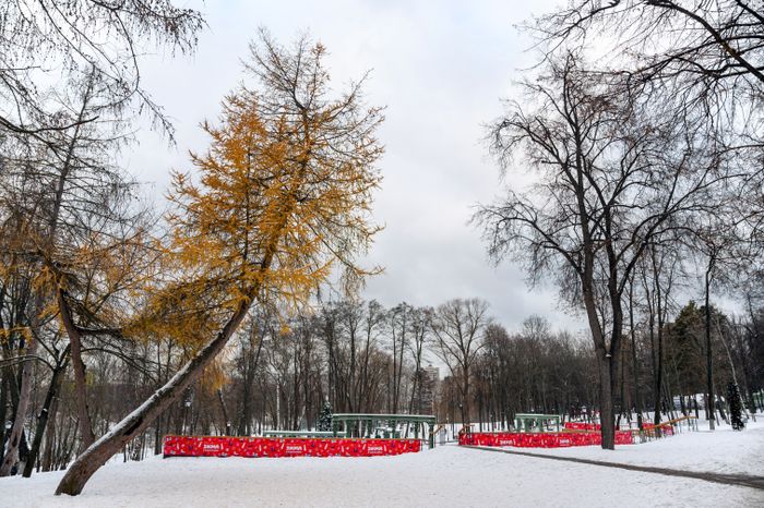 Раменский городской парк в новогодние праздники