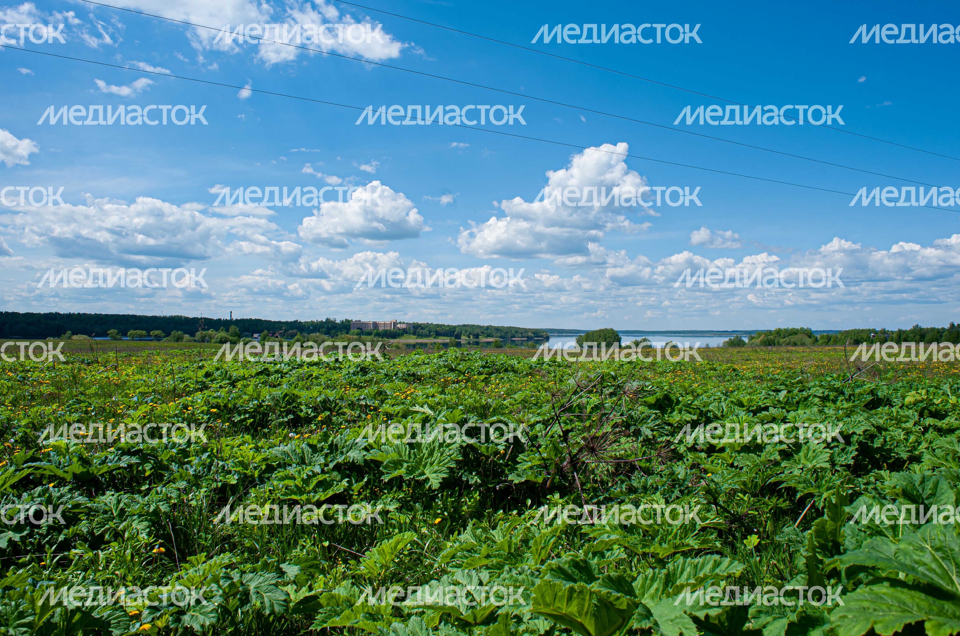 Весенние виды города Руза