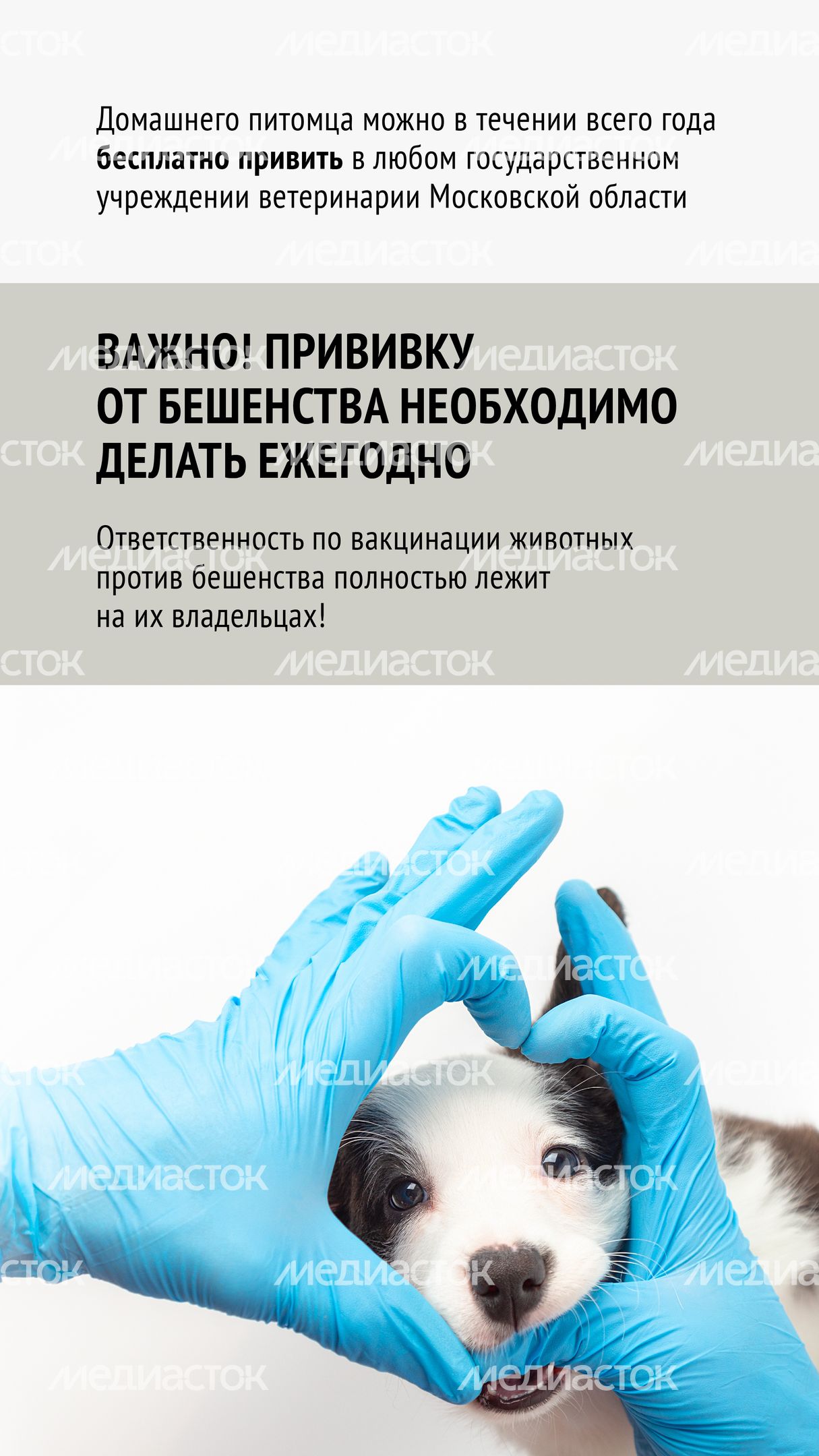 Вакцинация-06.jpg