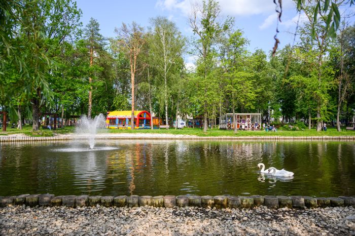 Фонтан в пруду в парке культуры и отдыха им. Олега Степанова в Серпухове летом