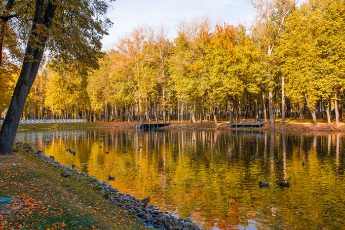 Воскресенск. Парк усадьбы Кривякино