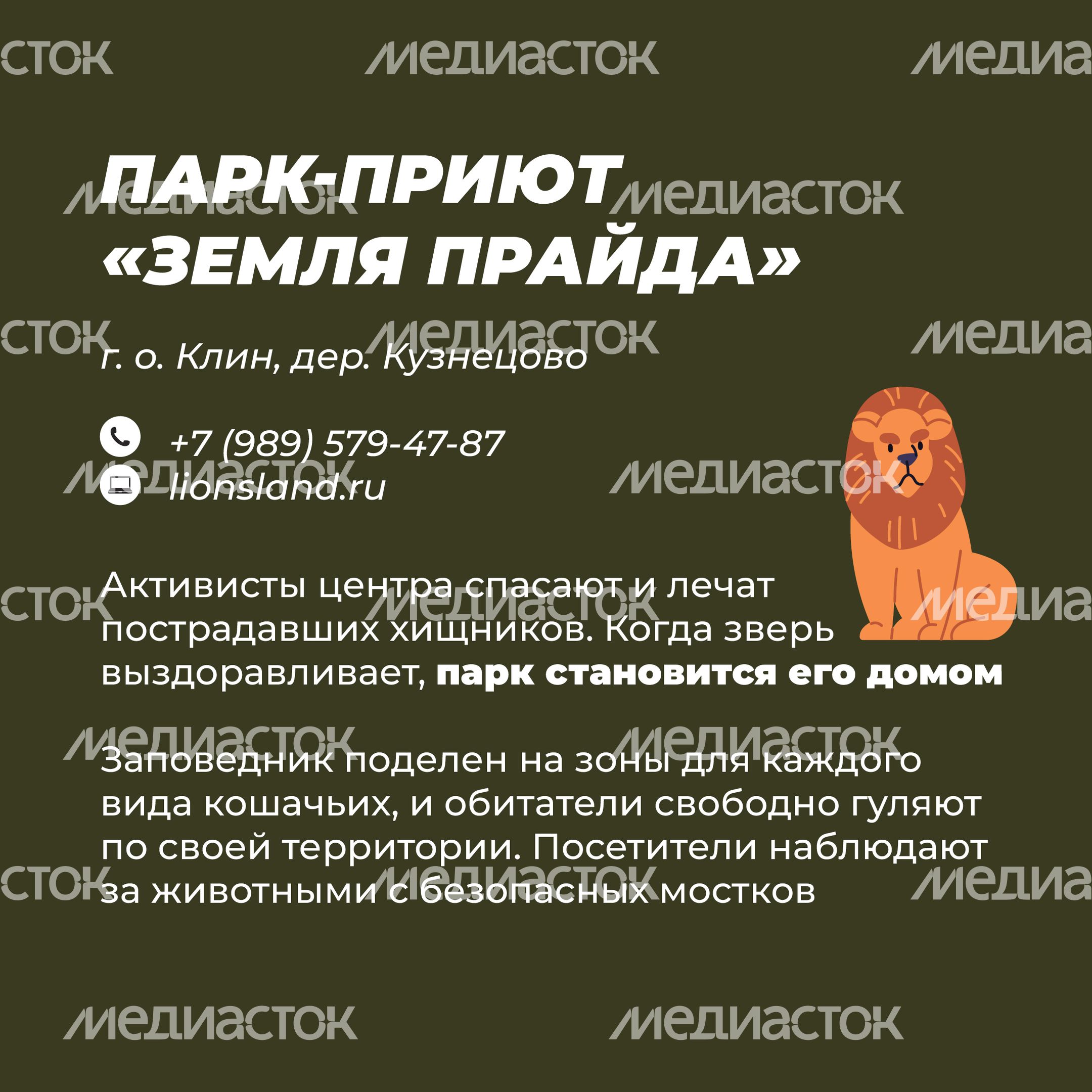 Фермы с животными-21.jpg