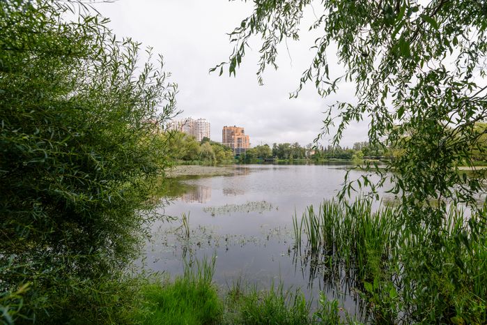 Парк "Фабричный пруд" в Реутове. Лето
