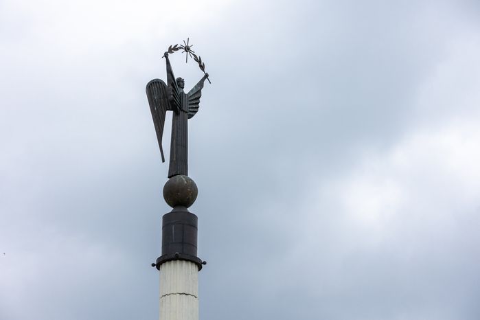 Стелла