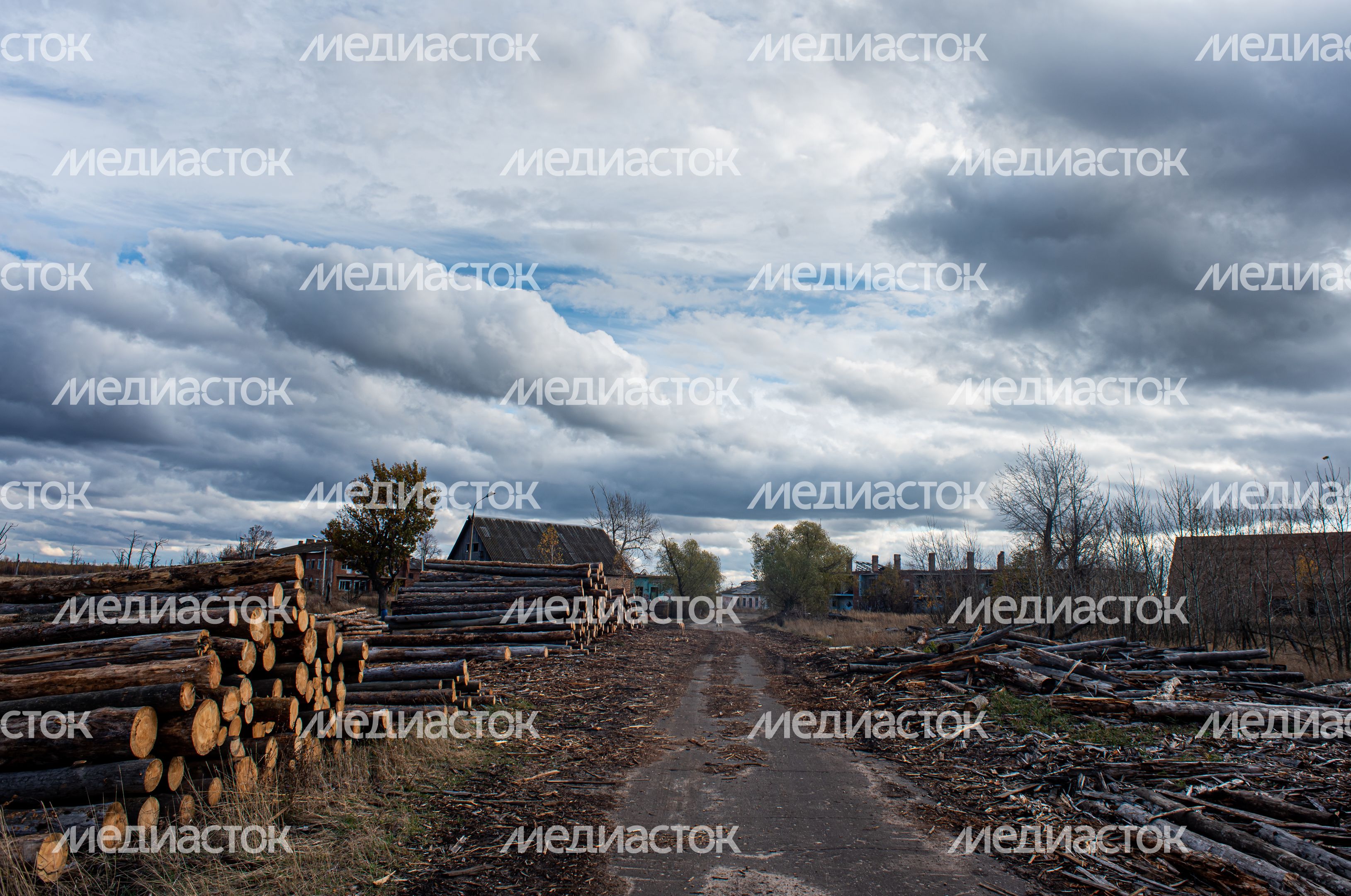 Заброшенная деревня Моховое