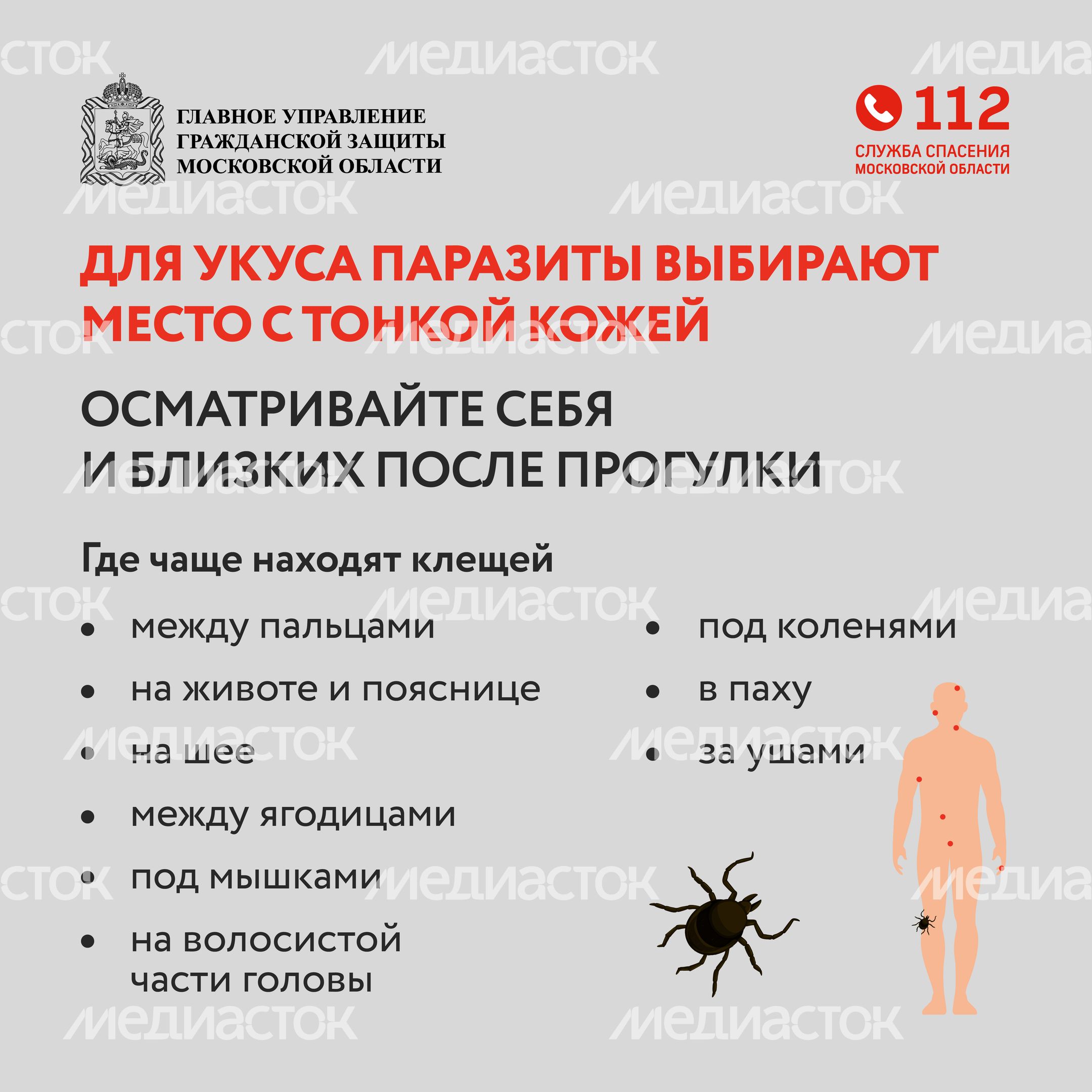 клещи_квадрат_06