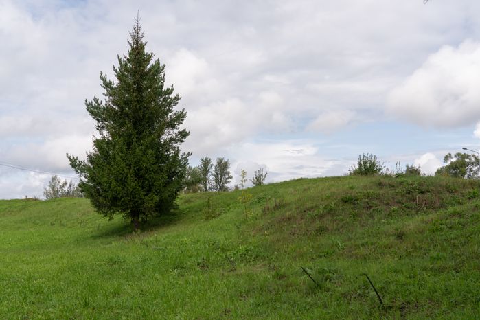 Лотошино. Микулино городище