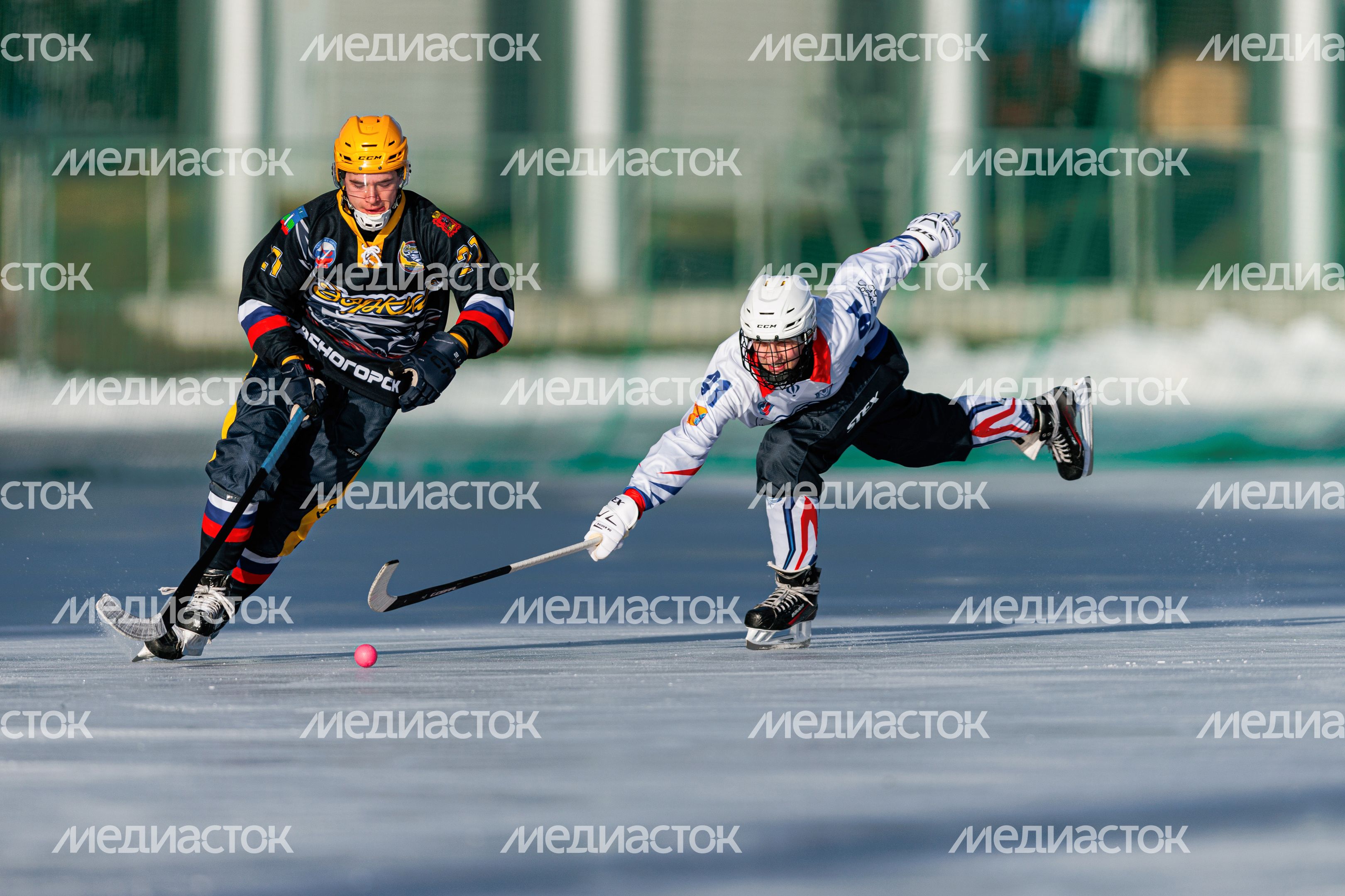 Чемпионат России по хоккею с мячом в Красногорске Чемпионат России по хоккею с мячом в Красногорске