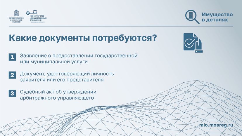 горизонталь Сведения для арбитражных 04.png