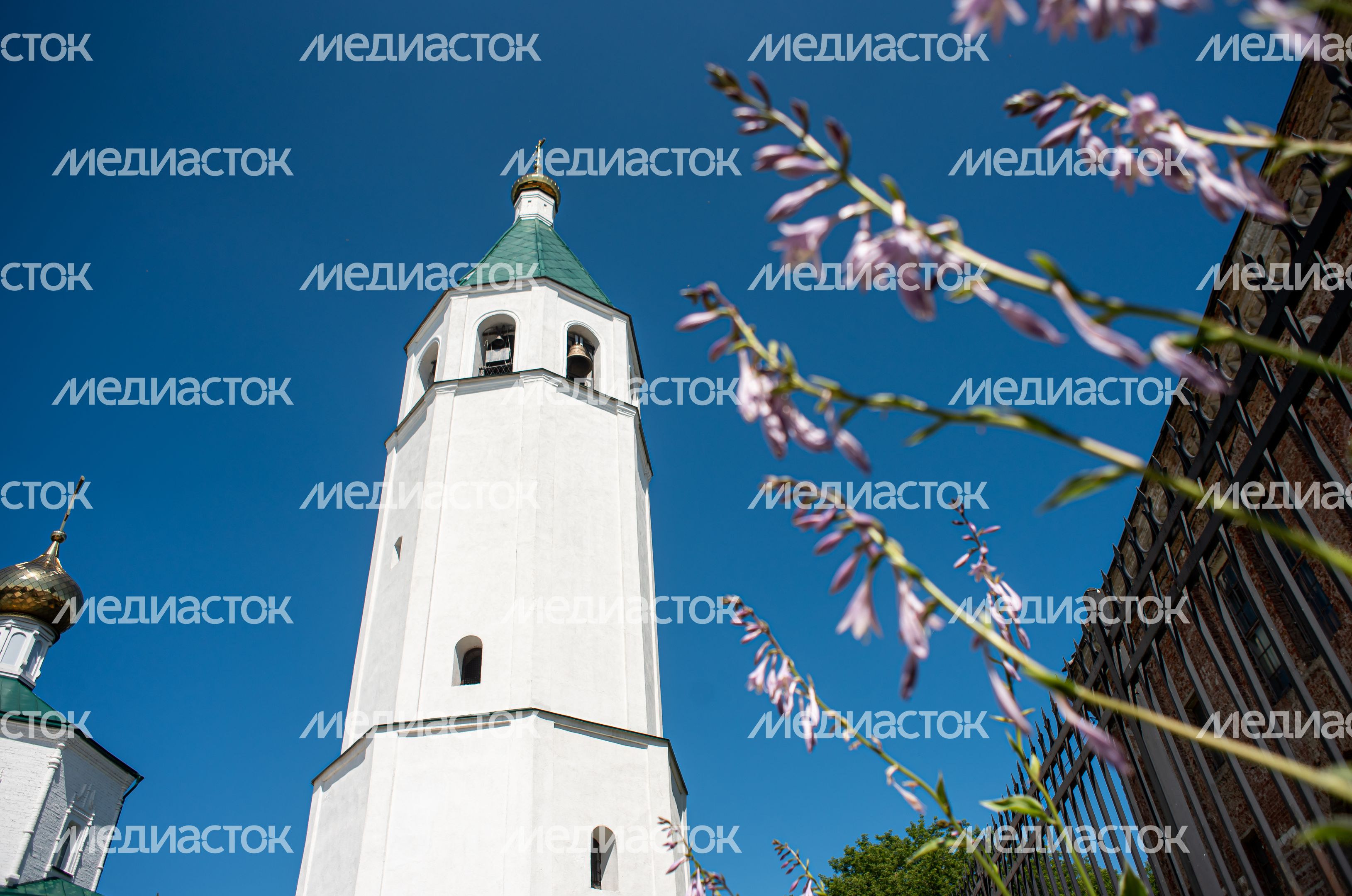 Летние виды города Клин