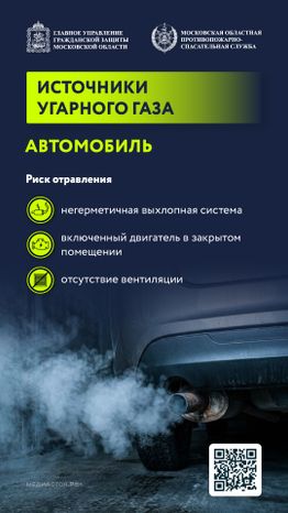 Угарный газ вертикаль 03