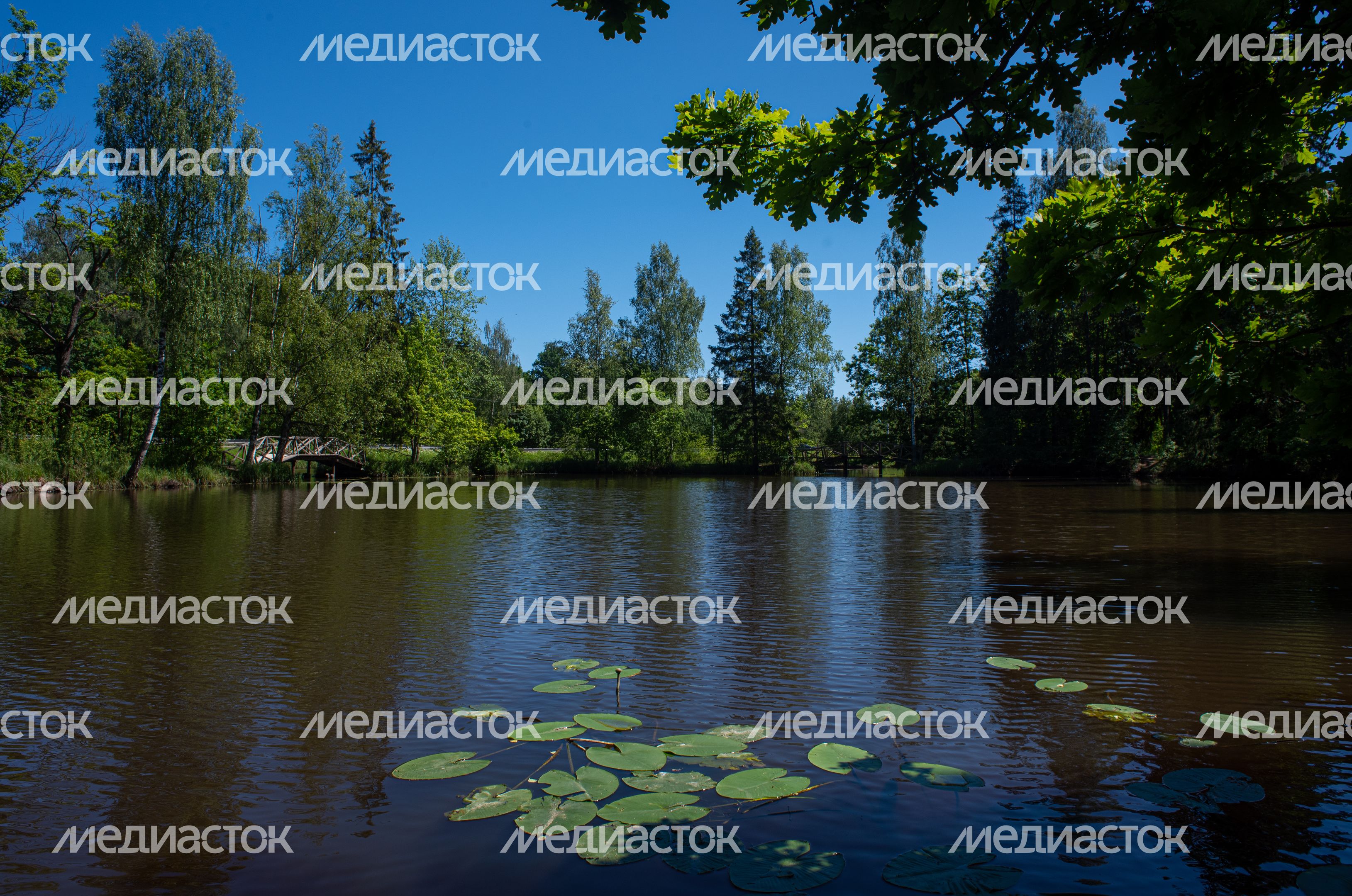 Летние виды Музея-заповедника «Абрамцево»