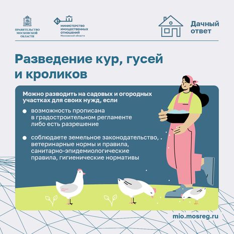 Дачный сезон штрафы-квадрат-09