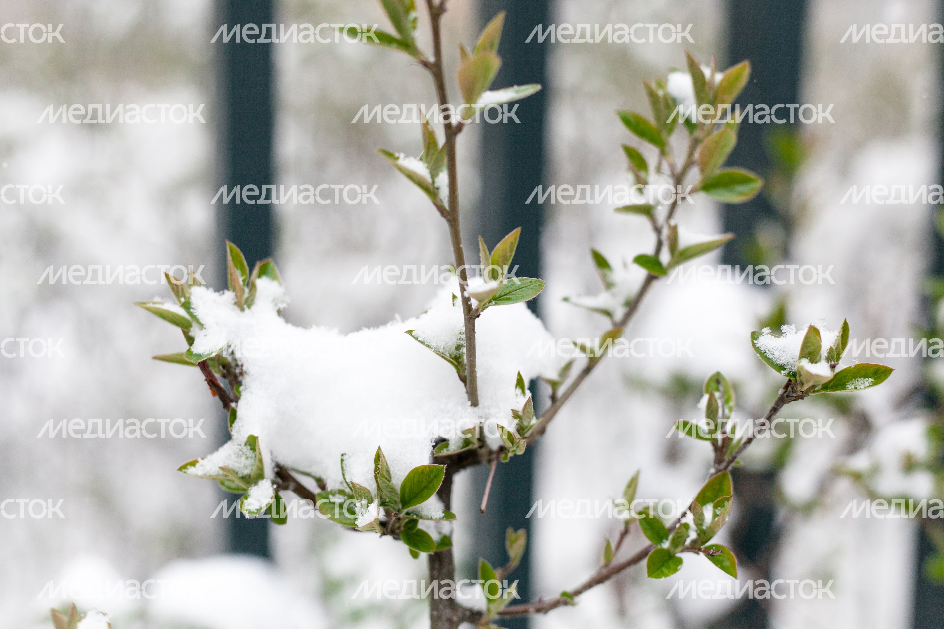 Весна в городе Дзержинский Весна в городе Дзержинский