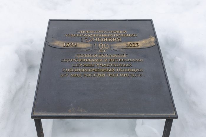 Центральный парк культуры и отдыха в Ногинске Богородского округа