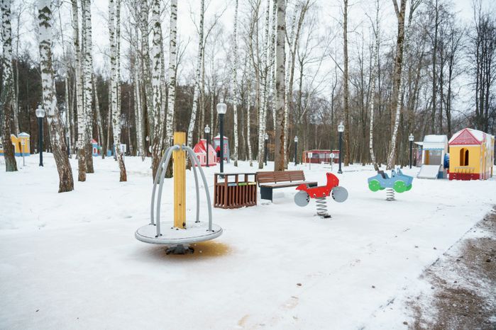 Кашира. Городской парк. Зима