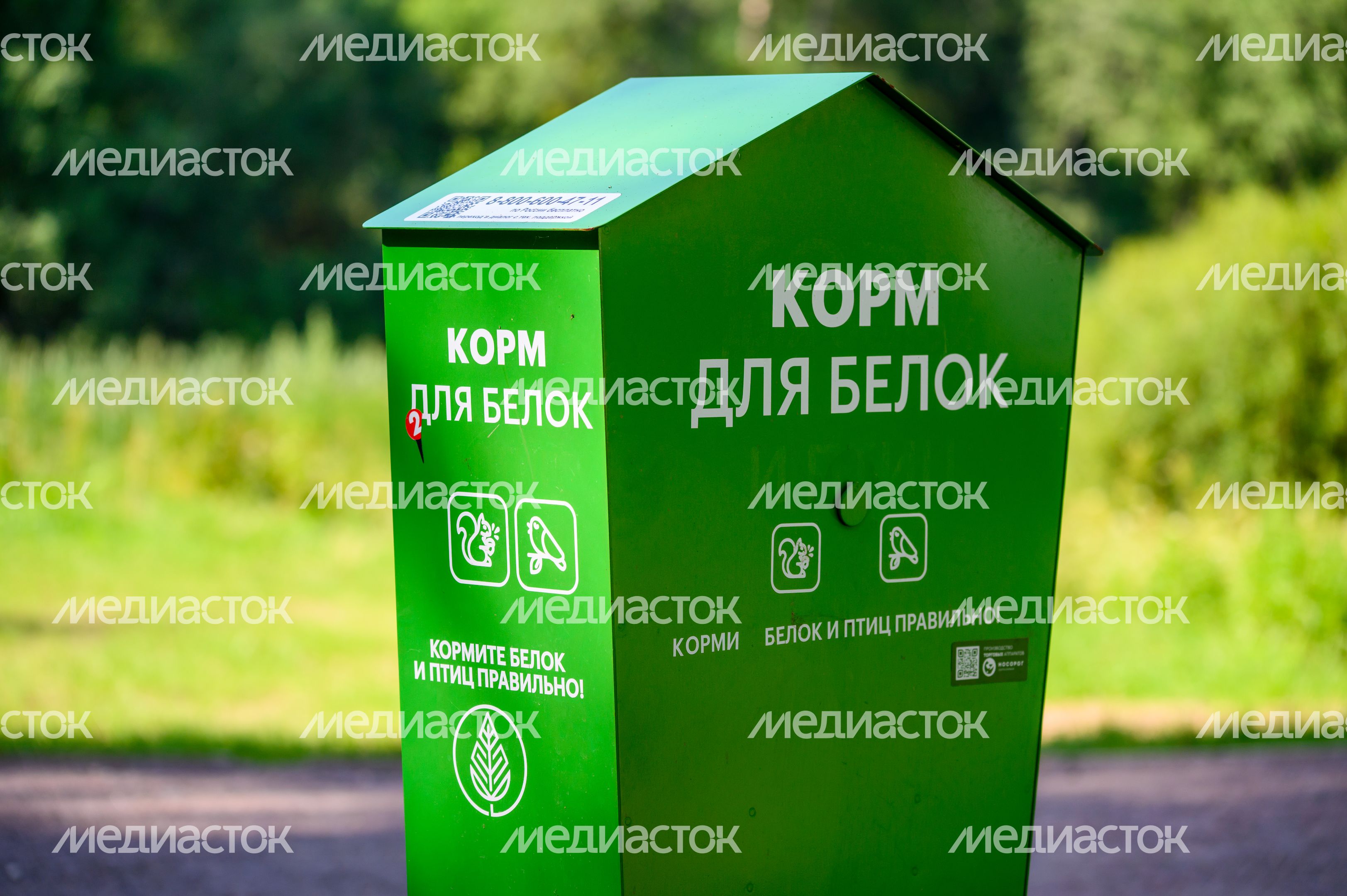 Автомат с кормом для белок в лесопарке «Загорское море» летом в Сергиевом Посаде Автомат с кормом для белок в лесопарке «Загорское море» летом в Сергиевом Посаде