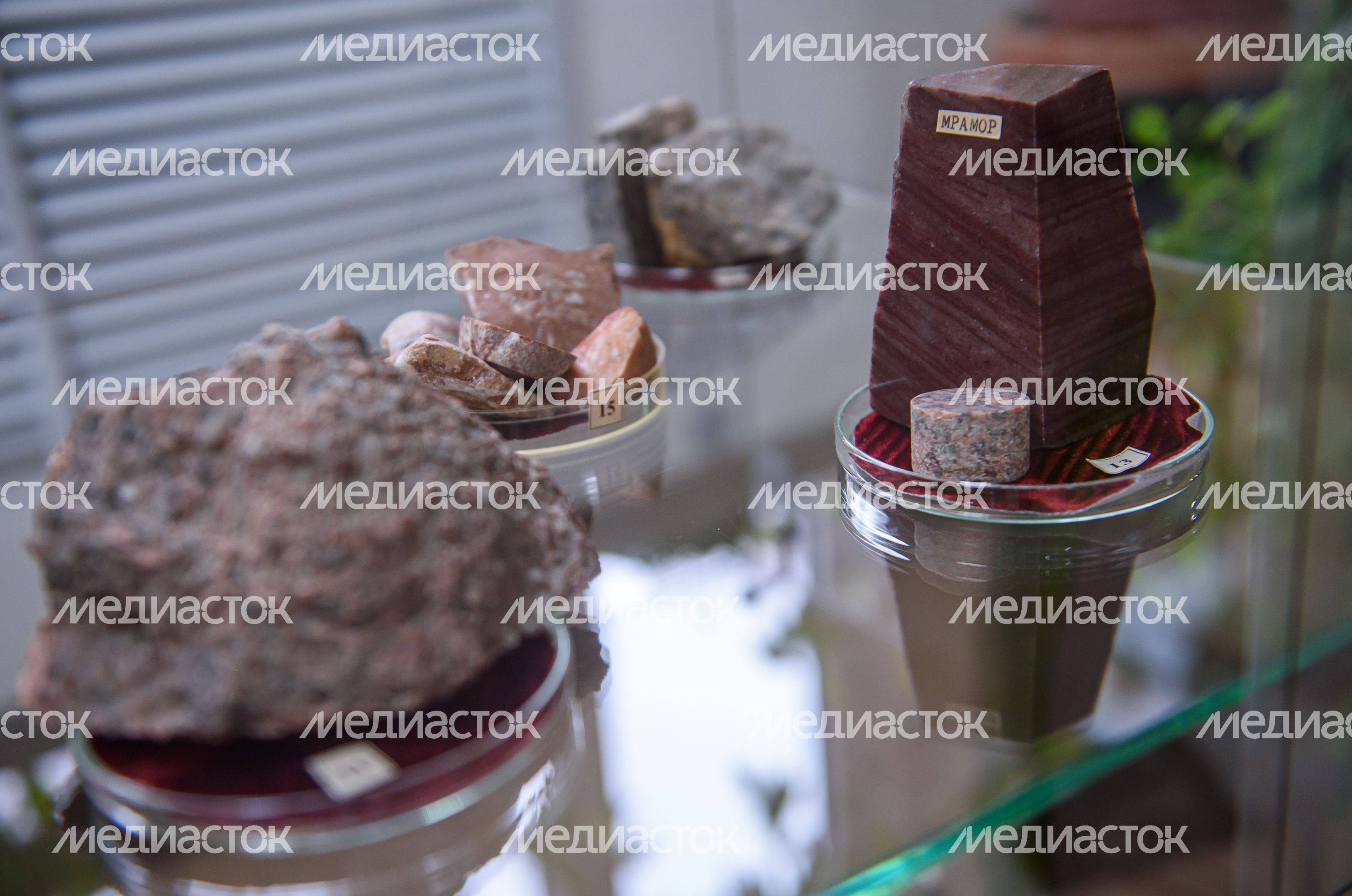 Пущинский музей экологии и краеведения