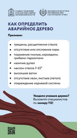 Аварийные деревья_Вертикаль-03.jpg